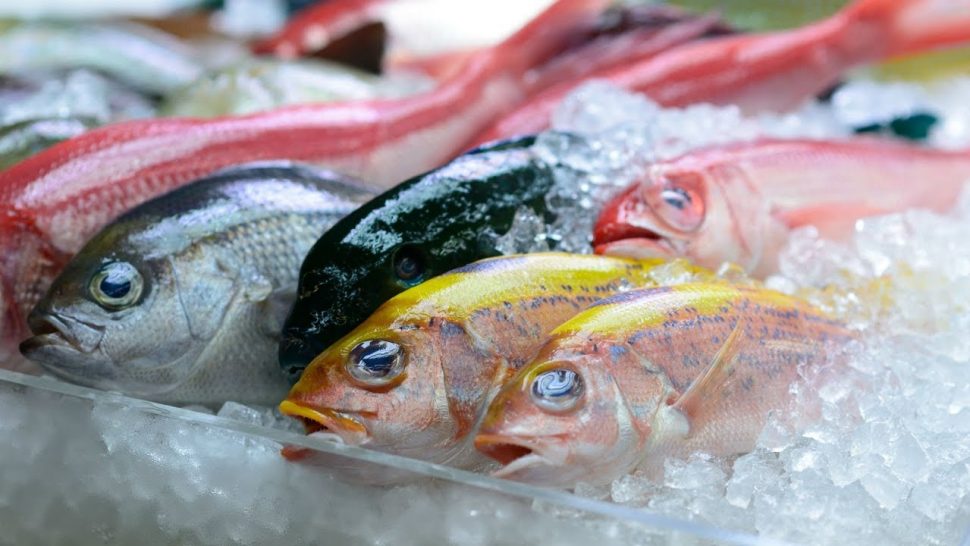 Where To Buy Fish In Singapore