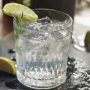 All About Gin A Beginners Guide